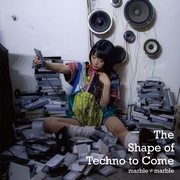 THE SHAPE OF TECHNO TO COME