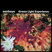 GREEN LIGHT EXPERIENCE