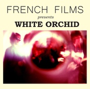 WHITE ORCHID