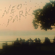 NEO PARK