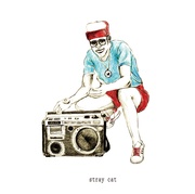 STRAY CAT