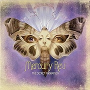 THE SECRET MIGRATION 2LP VINYL EDITION