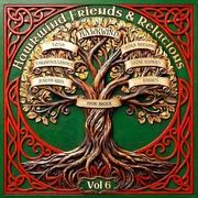 FRIENDS & RELATIONS - DOUBLE VINYL EDITION