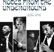NOTES FROM THE UNDERGROUND - RADICAL MUSIC OF THE 20TH CENTURY 4CD