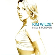 NOW & FOREVER -  EXPANDED DELUXE 4 DISC SET