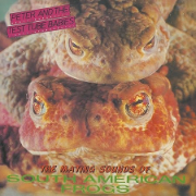 THE MATING SOUNDS OF SOUTH AMERICAN FROGS?12inch VINYL EDITION