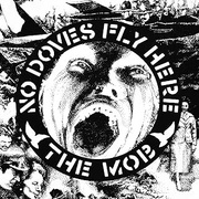 NO DOVES FLY HERE (IMPORT 12") (IMPORT)
