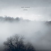 Liminal (IMPORT CD)