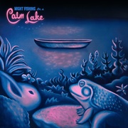 NIGHT FISHING ON A CALM LAKE (IMPORT CD)