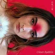 CLEVER RABBITS (IMPORT CD)