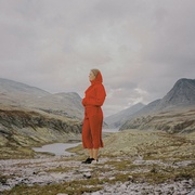 Evergreen In Your Mind (IMPORT LP)