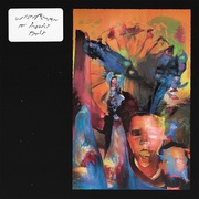 AN INBUILT FAULT (LP COLOR)