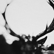 IHSAHN (ORCHESTRAL) (2LP COLOR/CLEAR WITH BLACK SMOKE MARBLE)