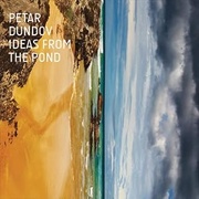 IDEAS FROM THE POND